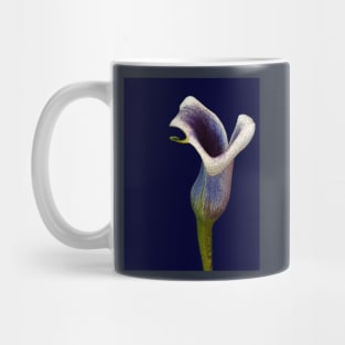 Alone on blue Mug